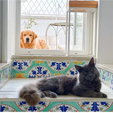 Le Bateau Bleu Adults Only 12 Bed & Breakfast