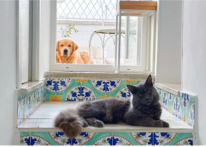 Le Bateau Bleu Adults Only 12 Bed and breakfast